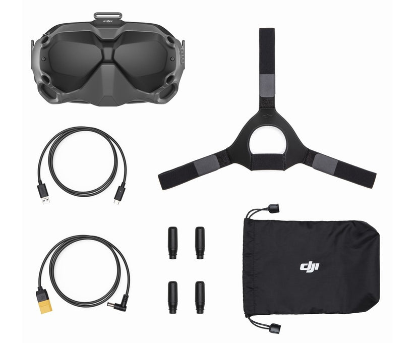 DJI FPV Goggles