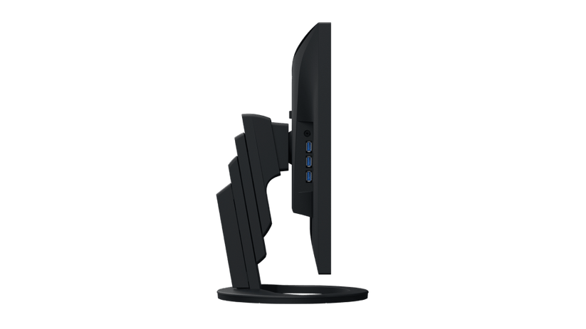Monitor Flexscan 24" Ev2495 - Nero