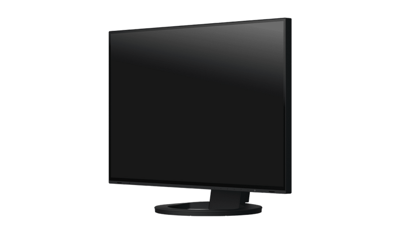 Monitor Flexscan 24" Ev2495 - Nero