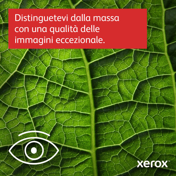 Stampante B310V_DNI A4 Mono Print Wireless