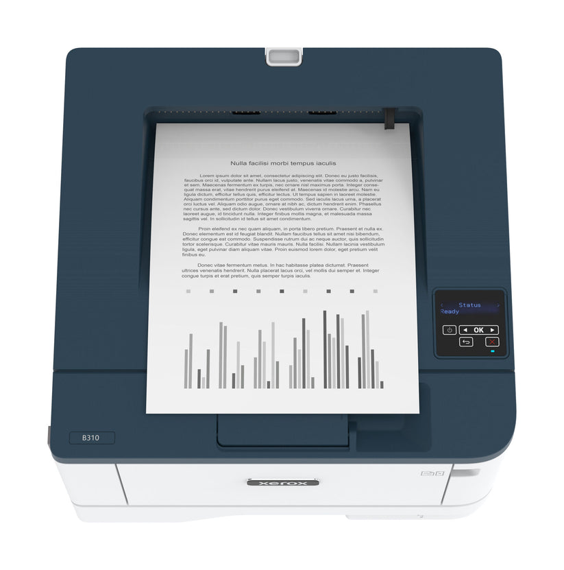 Stampante B310V_DNI A4 Mono Print Wireless