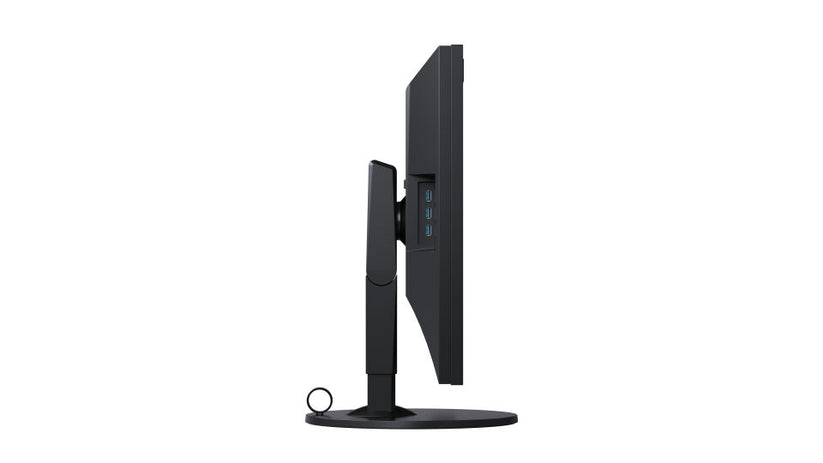 Monitor ColorEdge 31,1" DCI-4K - CG319X - Nero