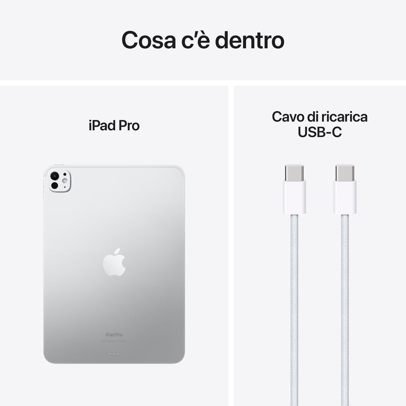 iPad_Pro_11_M4_WiFi_Silver_PDP_Image_Position_9__ITIT