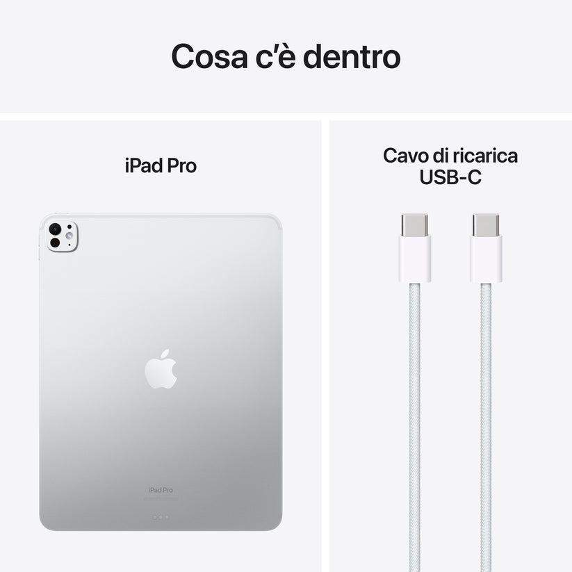 iPad_Pro_13_M4_WiFi_Silver_PDP_Image_Position_9__ITIT