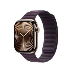 42mm-blackberry-magnetic-link-m-l_MXWK3ref_AV1