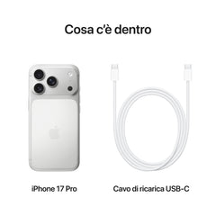 iPhone_17_Pro_Silver_PDP_Image_Position_8__ITIT