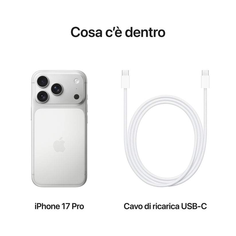 iPhone_17_Pro_Silver_PDP_Image_Position_8__ITIT