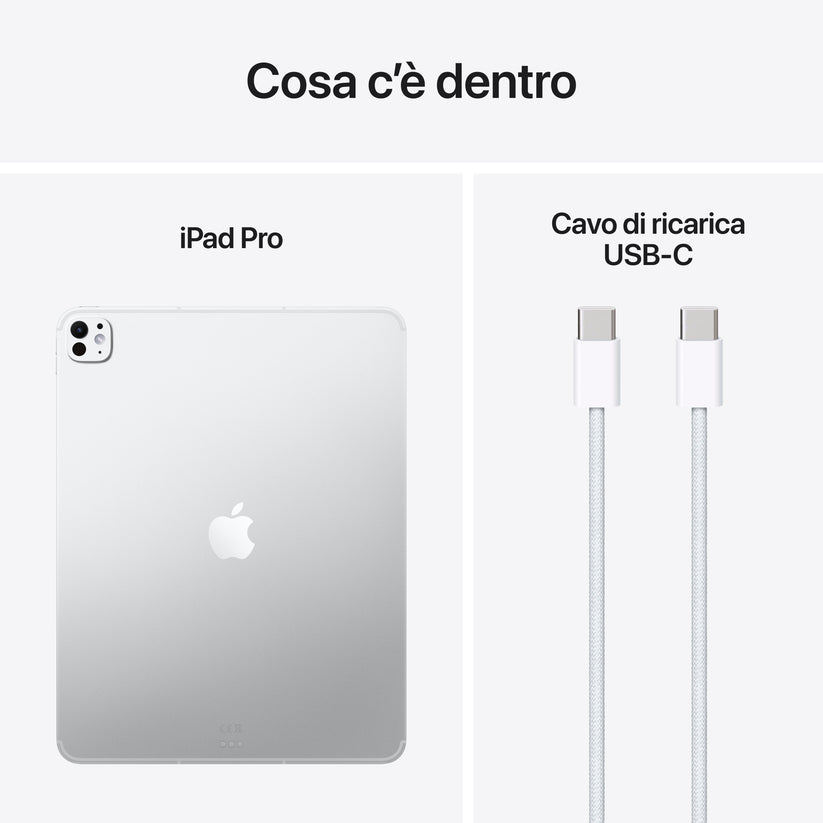 iPad_Pro_13-in_M5_Cellular_Silver_PDP_Image_Position_9__ITIT