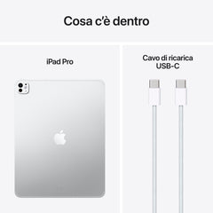 iPad_Pro_13-in_M5_Cellular_Silver_PDP_Image_Position_9__ITIT